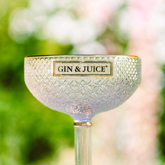 Gin & Juice Luxury Glassware Coupe Set